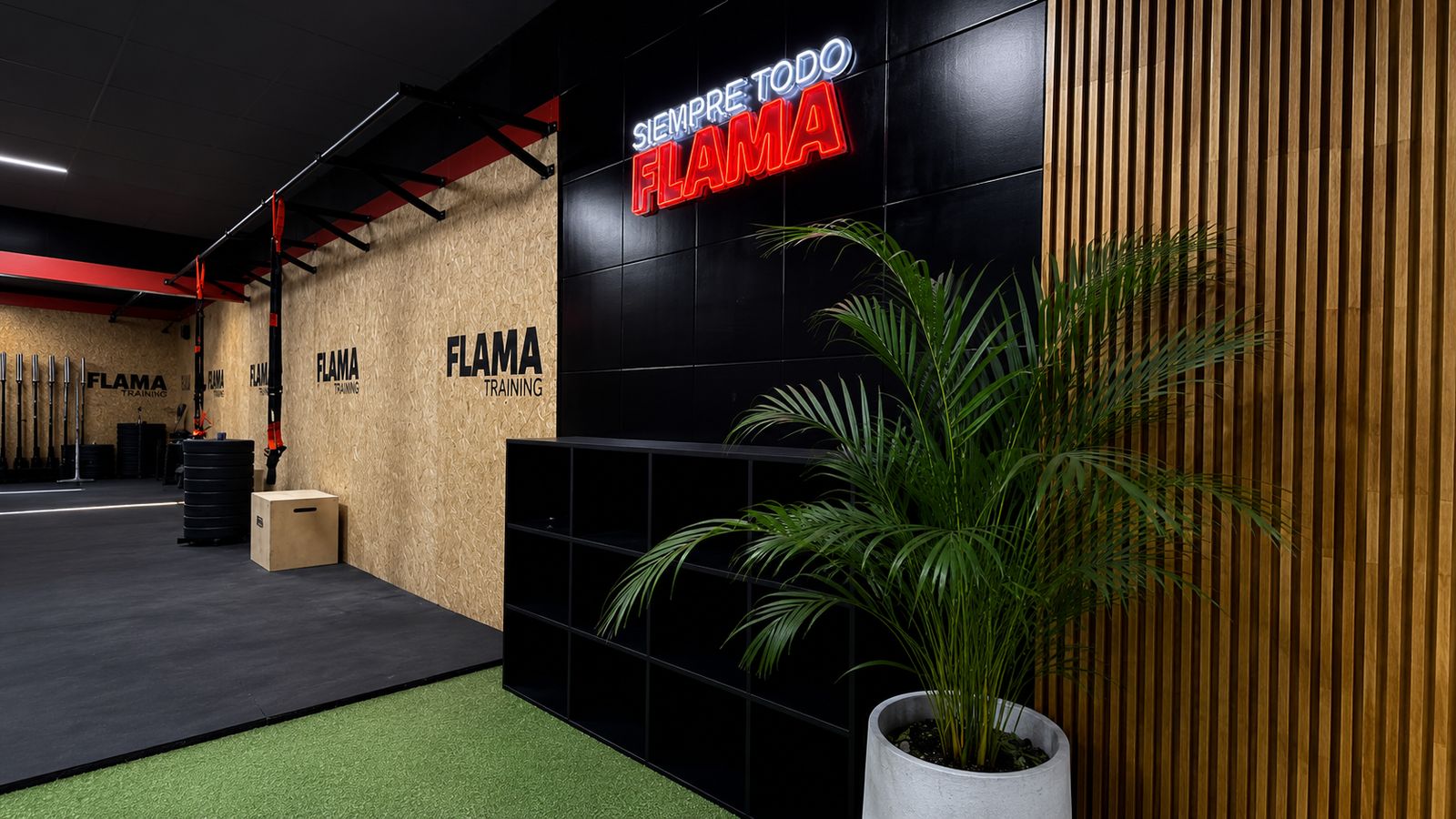 Flama Training
